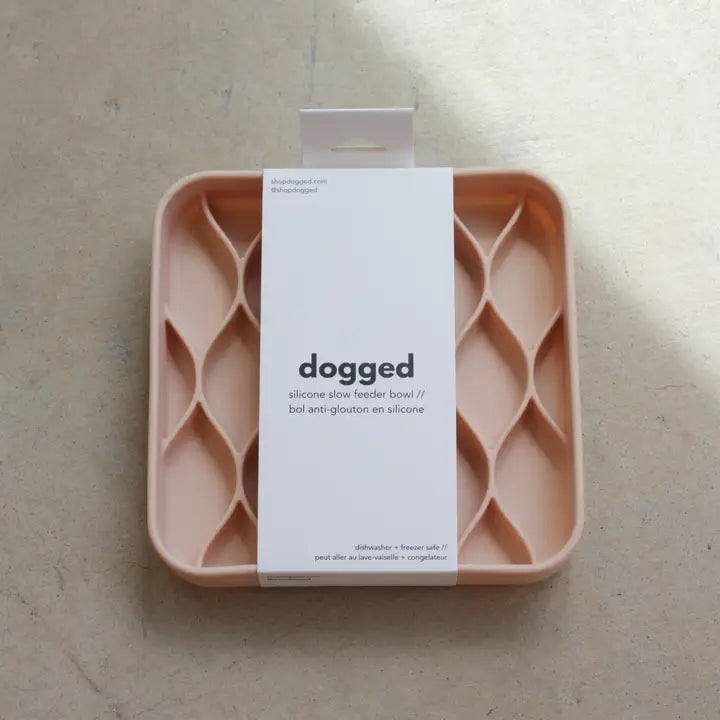 Gamelle à alimentation lente et résistante Argyle