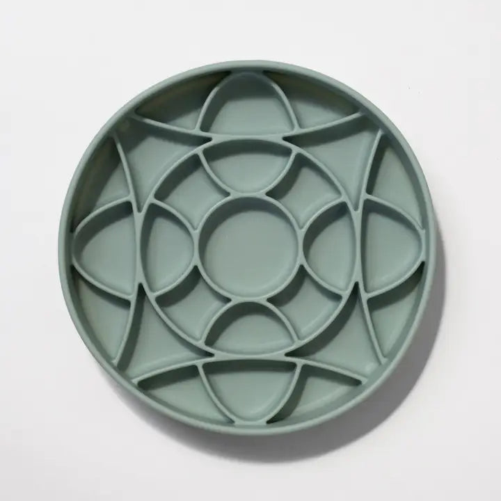 Gamelle à alimentation lente Circulo