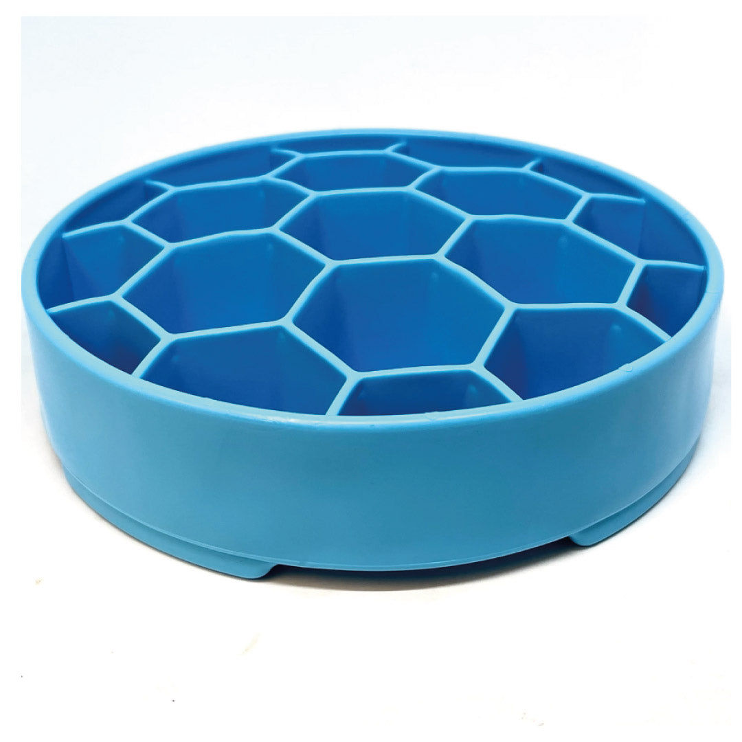 Sodapup Ebowl Honeycomb Blue - mangeoire lente