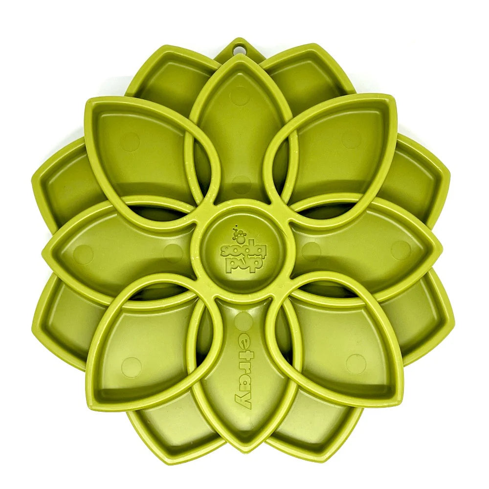 Plateau Sodapup Mandala Vert - slowfeeder