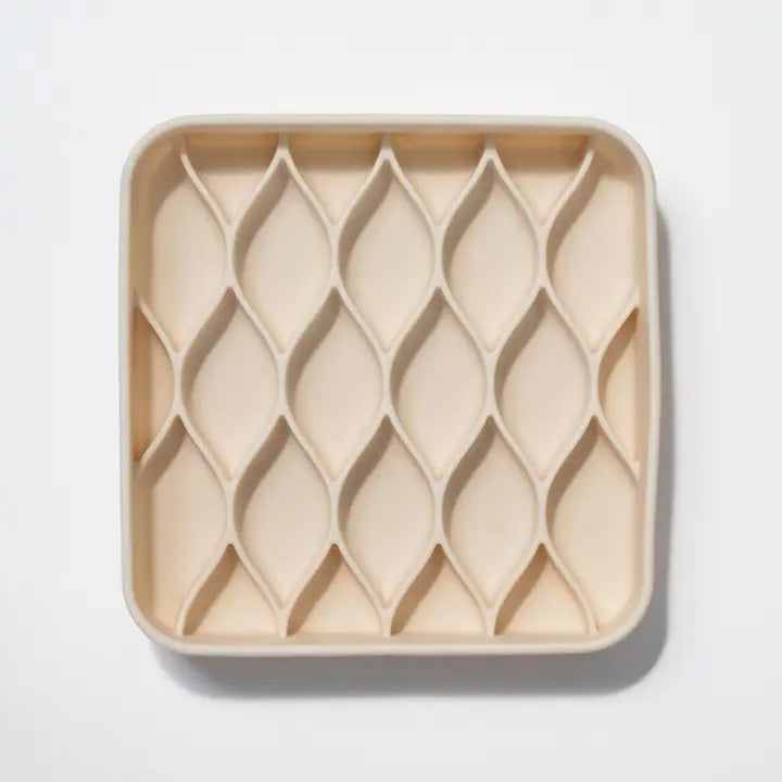 Gamelle à alimentation lente et résistante Argyle