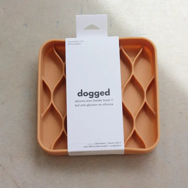 Gamelle à alimentation lente et résistante Argyle